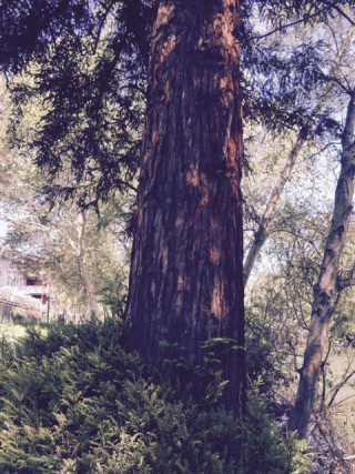 A Writers Retreat, A Miracle, Say Yes!